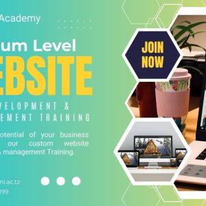Premium Level - Advanced Website Development Experience